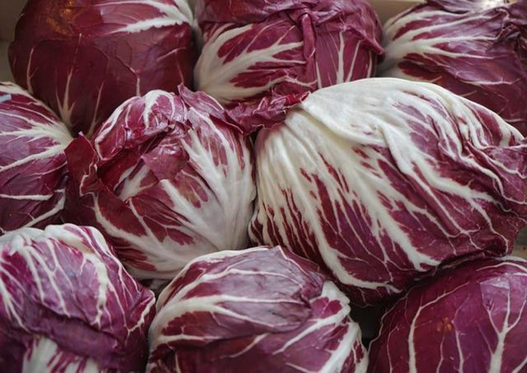 Raddichio Rosa Heirloom Radicchio Ralla Rosa Seeds: Italian Chicory, Gourmet Green - Etsy