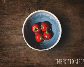 Heirloom Cherry Bomb Hot Chili Seeds: Ramnad Mandu Indian Pepper