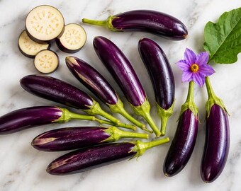 Indian Purple Long Eggplant Seeds, Long Brinjal, Indian Eggplant, Purple Aubergine, Non-GMO