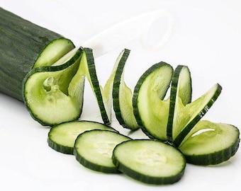May include: A fresh green cucumber, partially sliced, with some slices fanned out. The cucumber is on a white surface. The slices are arranged to create a decorative presentation.