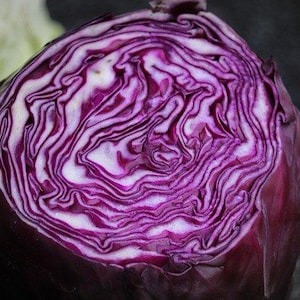 May include: A close-up of a halved red cabbage, showcasing its vibrant purple and white layered interior. The image highlights the intricate patterns and textures of the vegetable, with a dark background.