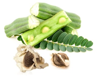 Heirloom Indian Moringa Seeds: Organic Drumstick Tree, Superfood