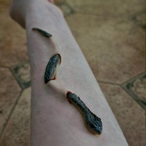 Puede incluir: Una aplicación de maquillaje protésico realista en un antebrazo pálido que muestra una criatura oscura y texturizada similar a una serpiente emergiendo de tres incisiones cutáneas simuladas, con bordes rojos visibles alrededor de las aberturas.