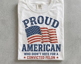 Pro Democracy Patriotic Shirt, Liberal Fourth of July Tee, Feminist Activist Gift, Trendy Political Comfort Colors Tshirt, FDT Top