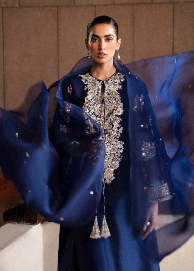 Puede incluir: Un vestido formal azul marino con intrincados bordados plateados en el corpi&ntilde;o y las mangas. El vestido presenta un chal azul transparente y fluido. El atuendo es elegante y adecuado para ocasiones especiales.
