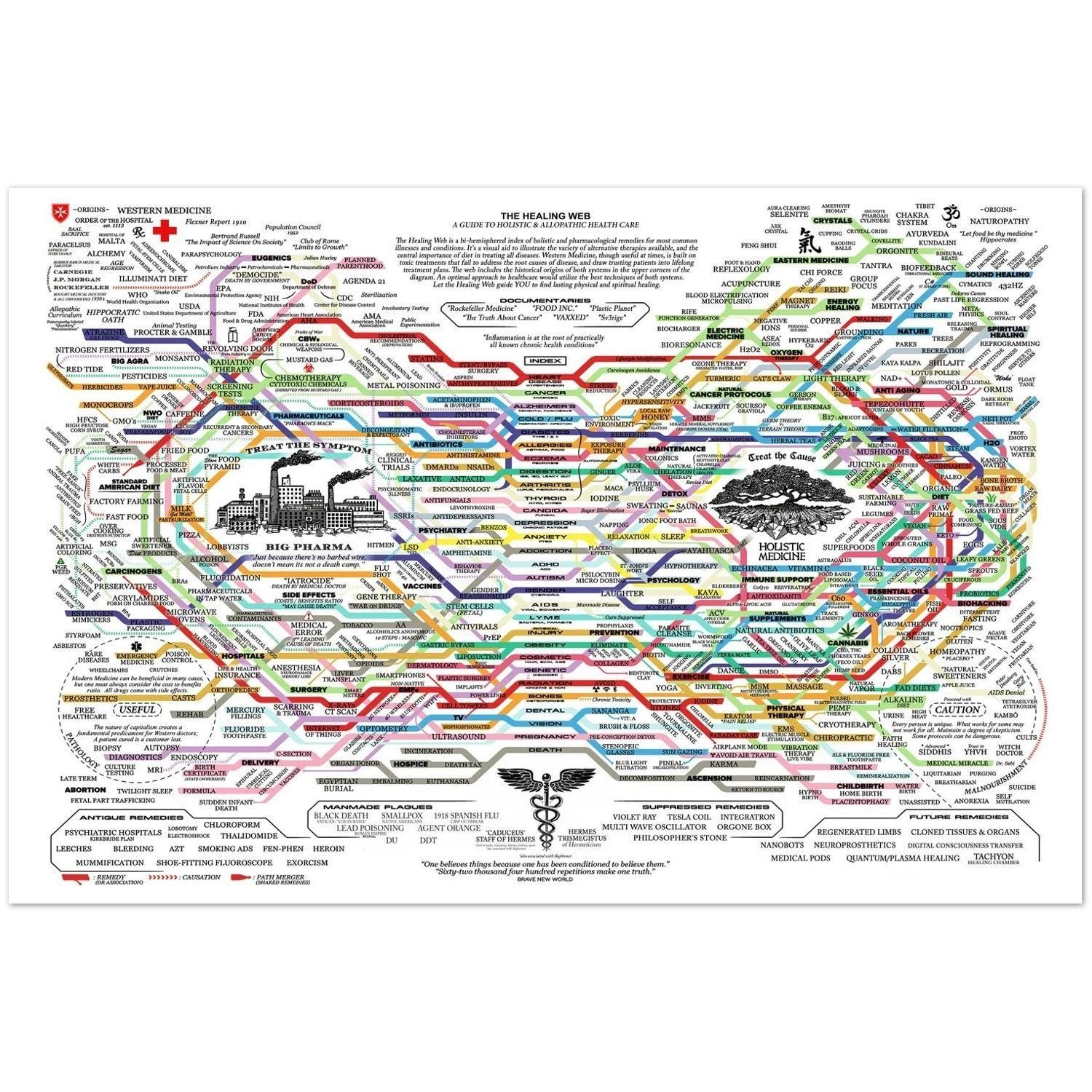 The Healing Web Modern Medicine Alternative Health Chart Poster - Etsy