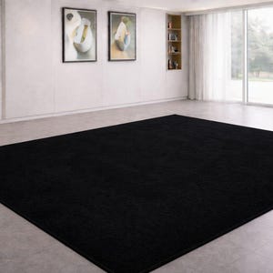 May include: A large, rectangular black rug dominates the room's floor. The rug's dark color contrasts with the light-colored walls and floor. The room also features artwork, built-in shelving, and a large window with sheer curtains.