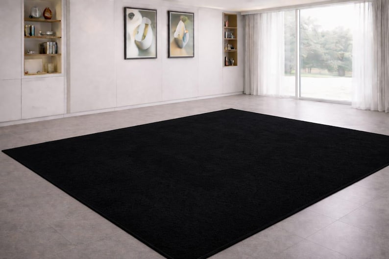 May include: A large, rectangular black rug dominates the room's floor. The rug's dark color contrasts with the light-colored walls and floor. The room also features artwork, built-in shelving, and a large window with sheer curtains.