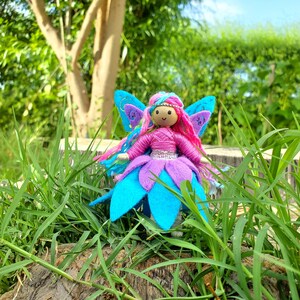 May include: A handmade fairy doll with blue and purple wings, a pink dress, and a sparkly silver belt. The doll is sitting in a bed of green grass.
