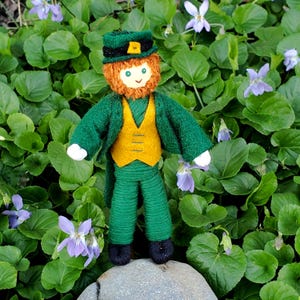 May include: A felt leprechaun doll wearing a green jacket, yellow vest, and green pants. The doll has a red beard and a green hat with a gold buckle. The doll is standing on a rock in front of a bed of green leaves and purple flowers.