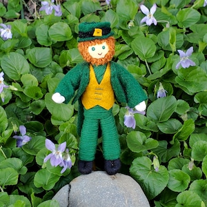 May include: A felt doll dressed as a leprechaun with a green hat, green jacket, yellow vest, and green pants. The doll is standing on a rock surrounded by green leaves and purple flowers.