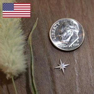 May include: A small, silver star-shaped charm next to a U.S. dime dated 2024. The charm is on a dark brown surface, with a sprig of dried grass and a small American flag in the background.