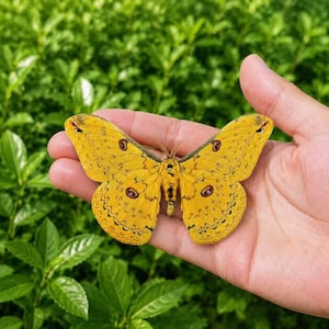 Pu&ograve; includere: Una grande falena gialla con intricate linee nere ondulate e distinti segni circolari a forma di occhio su ogni ala. La falena presenta un corpo sfumato e strutturato, con ali larghe e simmetriche di un vibrante colore giallo dorato.