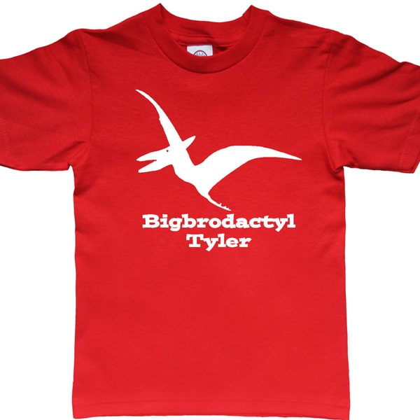 Personalized Big Brother Dinosaur Pterodactyl  tshirt - pick your colors!
