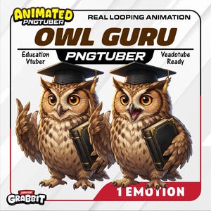 Owl Guru PNGTuber Animated | Neutral Expression Only | Education VTuber Avatar | Loop Talking Idle | Veadotube Ready