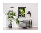 Forest Stream Print: Tranquil Nature Landscape Art (Digital Download, 12x18, 12x16, 12x15, 12x12 in