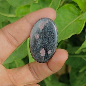 May include: An oval-shaped cabochon gemstone featuring a dark charcoal grey and black base with a textured, speckled appearance. The stone is accented with several distinct, irregular light pink inclusions scattered across its polished surface.