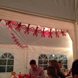 Crawfish Boil Party Decorations, Red Crawfish Boil Garland, Crawfish Banner,Creole themed banner, Sold per foot! Please read info.SHIPS FAST zdjęcie 7