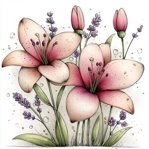 Puede incluir: Ilustraci&oacute;n en acuarela de lirios rosas y ramitas de lavanda. Los lirios tienen un degradado de tonos rosas, con centros m&aacute;s oscuros y bordes m&aacute;s claros. La lavanda es de un p&uacute;rpura intenso y las hojas son verdes. El fondo es blanco con peque&ntilde;os detalles dispersos.