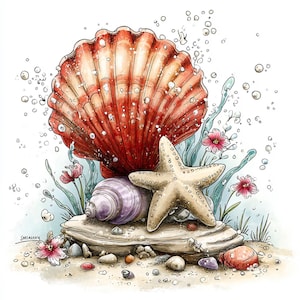 Puede incluir: Ilustración en acuarela de un arreglo de conchas marinas. Una gran concha de vieira roja y blanca es el punto focal, con una estrella de mar, una concha de caracol púrpura y pequeñas flores rosas. La escena se desarrolla sobre una superficie arenosa con burbujas.