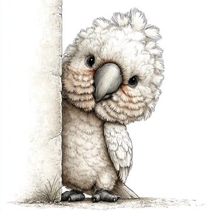 May include: A watercolor illustration of a white cockatoo peeking around a light-colored wall. The bird has fluffy feathers, a large beak, and dark eyes. The artwork has a soft, whimsical style, with subtle shading and detail.
