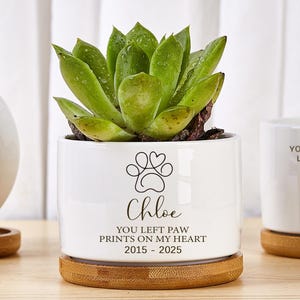 Könnte beinhalten: Weißer Keramik-Pflanztopf mit einer grünen Sukkulente, einem Pfotenabdruck-Design und dem Namen "Chloe". Der Topf steht auf einem Bambus-Untersetzer. Der Text lautet "YOU LEFT PAW PRINTS ON MY HEART 2015-2025".