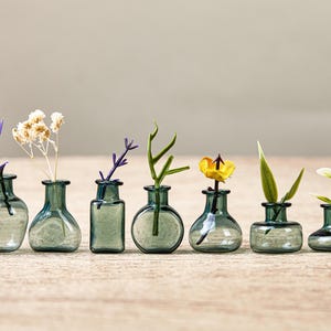 Könnte beinhalten: Sechs kleine, teal-farbene Glasvasen, jede mit einer anderen Art von getrockneten oder frischen Blumen und Grünzeug. Die Vasen haben unterschiedliche Formen, mit runden, quadratischen und flaschenartigen Designs. Der Hintergrund ist ein neutrales, hellbraunes Holz.