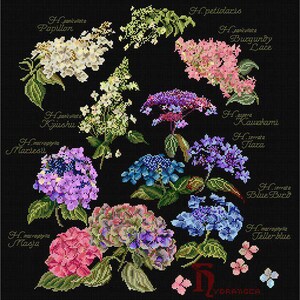Punto de cruz imprimible PDF digital + SAGA Pattern Keeper Markup Panel de hortensias Sampler Flores Estudio de la naturaleza Hierbas Costura Bordado DMC