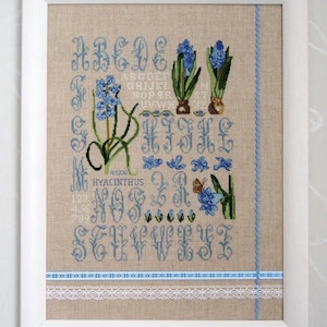 Può includere: Campione a punto croce con un alfabeto floreale blu e illustrazioni botaniche di giacinti. L'opera è incorniciata in una cornice di legno bianca con uno sfondo di lino beige. Include il testo "HYACINTHUS".