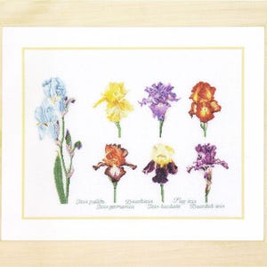 Puede incluir: Bordado a punto de cruz de varias flores de iris en tonos azules, amarillos, morados y naranjas. La pieza enmarcada incluye los nombres de las flores. La obra de arte está sobre un fondo blanco.