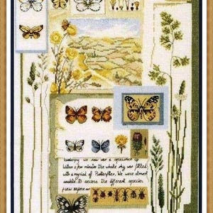 Può includere: Un campionario a punto croce incorniciato con varie farfalle, fiori ed elementi botanici. L'opera d'arte include una scena di paesaggio e testo scritto a mano. La tavolozza dei colori è composta da verdi, gialli, marroni e blu.