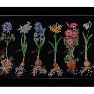 Utskrivbar korsstygn digital PDF + SAGA mönsterhållare markering blomlök panel provbit naturstudie örter handarbete broderi DMC