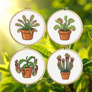Puede incluir: Cuatro aros de bordado de punto de cruz con plantas carnívoras en macetas de terracota. Las plantas incluyen una Venus atrapamoscas, plantas jarra y otras variedades, todo sobre un fondo blanco. Los aros se muestran sobre un fondo de follaje verde.