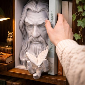 Può includere: Una scultura bianca della testa e delle mani di un uomo barbuto che tiene una farfalla, incastonata in una libreria. La scultura è circondata da libri, tra cui uno intitolato "The Civil Magician". Una mano si protende verso un libro.
