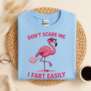 May include: Light blue t-shirt with a pink flamingo wearing sunglasses and the text "DON'T SCARE ME I FART EASILY" in pink. The flamingo is depicted with a cloud of gas. The shirt is made by Gildan.