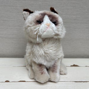 May include: A plush cat toy with cream-colored fur, dark brown markings on the ears and face, and a white muzzle. The stuffed animal features a downturned mouth, a small pink nose, and white thread whiskers on both sides of its face.