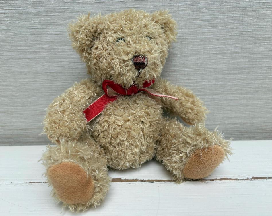 TY koala multicolore in peluche • Mio Peluche