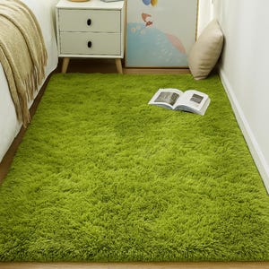 May include: A bright green, fluffy area rug dominates the room. The rug is rectangular and covers a large portion of the floor. A book lies open on the rug. The rug adds a vibrant pop of color to the room's decor.