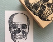 Large Skull Rubber Stamp 6553