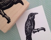 Raven on Branch Rubber Stamp 3863