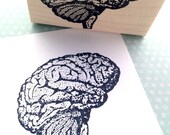 Brain Side View Wood Mounted Rubber Stamp 1284