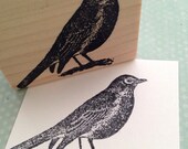 Spring Robin Rubber Stamp 3859