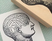 Diagramed Head Wood Mounted Rubber Stamp 996