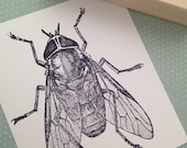 Huge House Fly Wood Mounted Rubber Stamp 3755