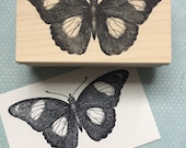 Spotted Butterfly Rubber Stamp