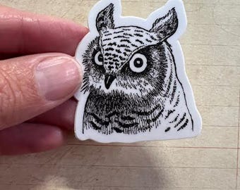 Owl Head Sticker