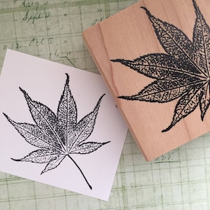 May include: A black and white illustration of a maple leaf with detailed veins. The leaf is printed on a wooden block, which is a rubber stamp.