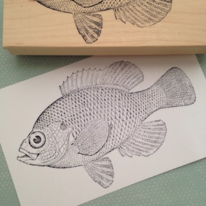 Large Bluegill Fish Stamp 2959