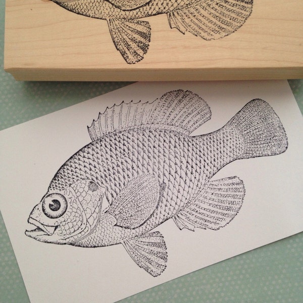 Fish Rubber Stamp Etsy