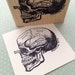Labeled Skull Wood Mounted Rubber Stamp 5023 
